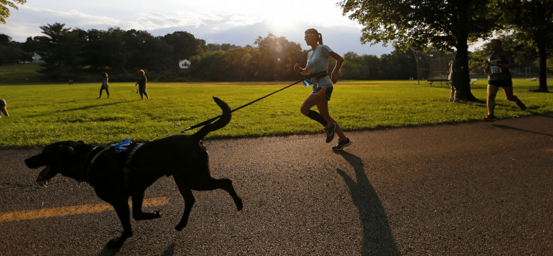 Dogs; A Man’s Best Friend & Running Partner