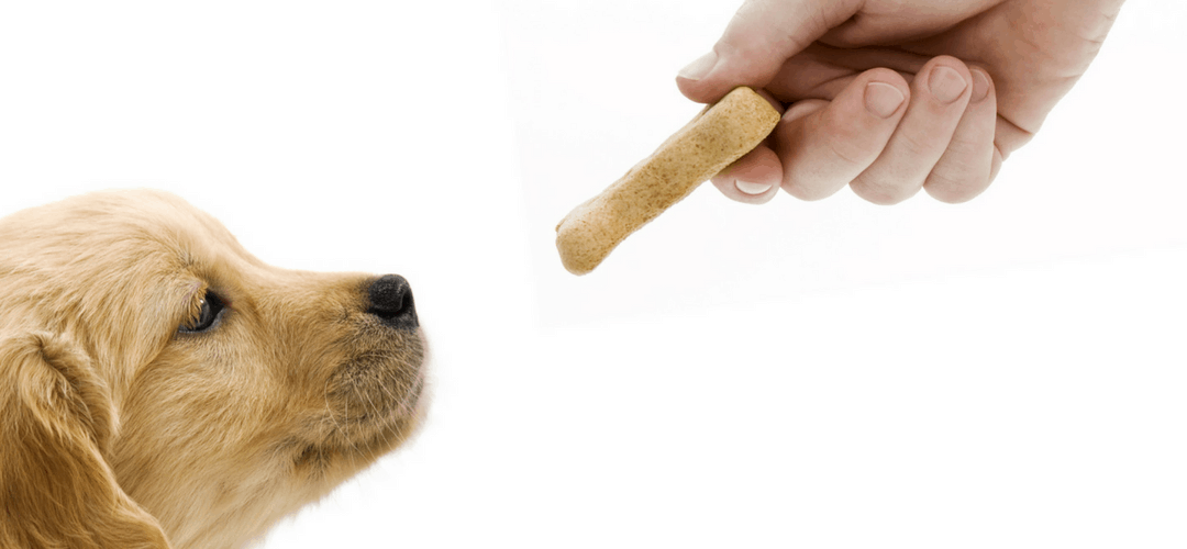 Top 10 Treats For Dogs Featuring Apples, Pears and Blueberries