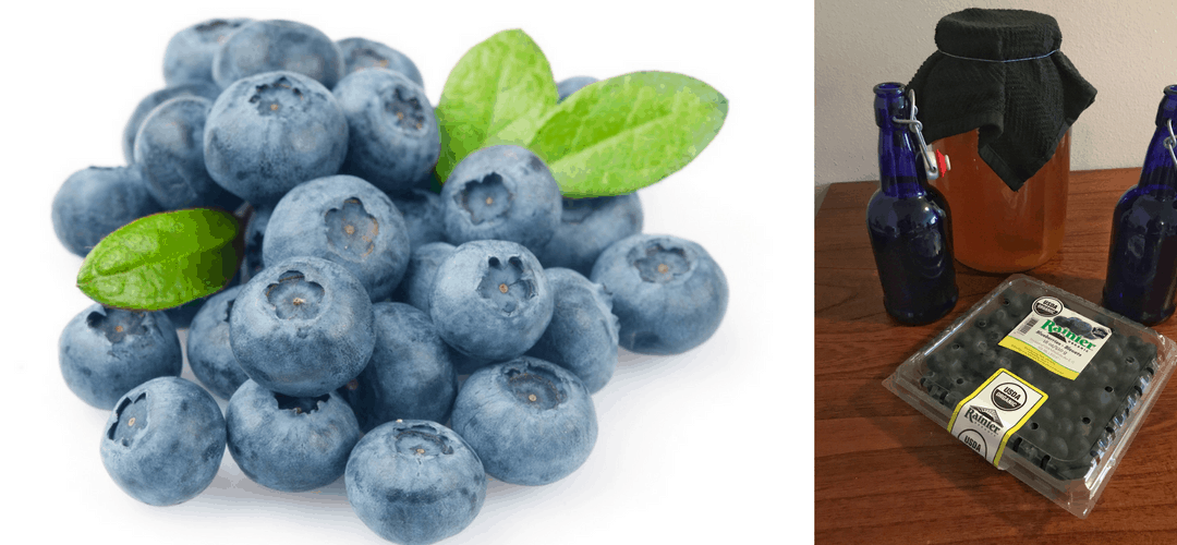 How to Make Blueberry Kombucha