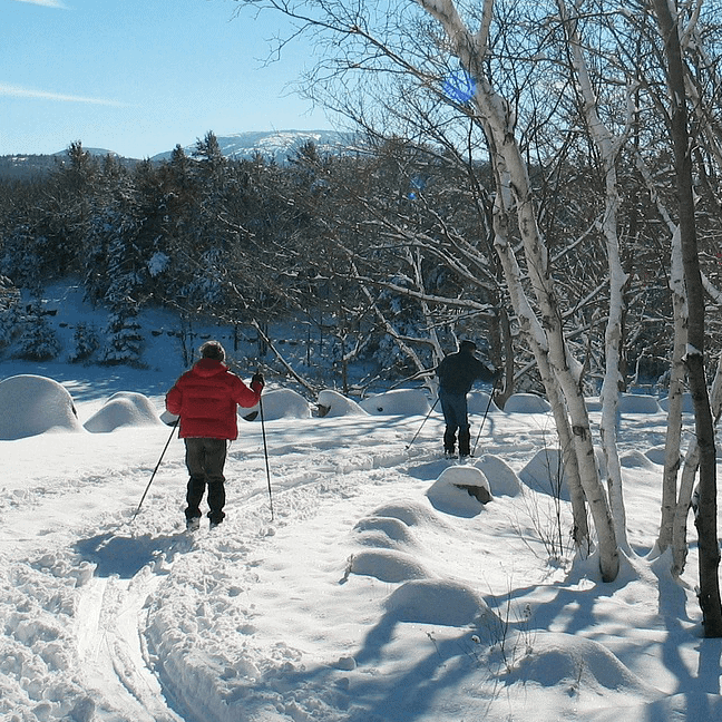 Cold Weather Brings Cool Opportunities